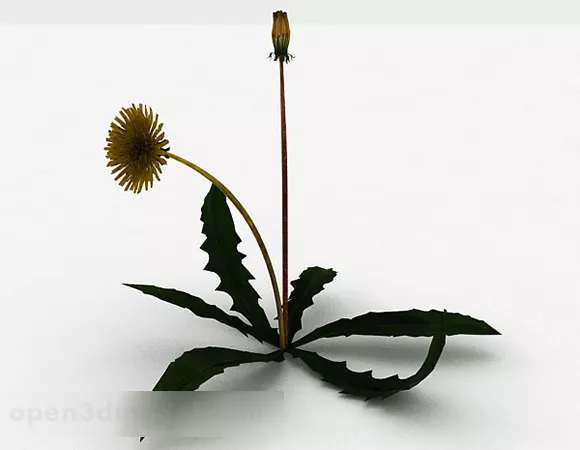Yellow Dandelion Plant 3d model Yellow Dandelion Plant 3d model