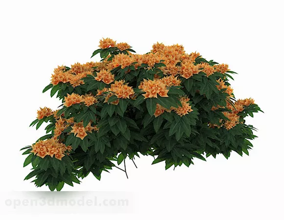 Yellow Flower Plant Flower 3d model Yellow Flower Plant Flower 3d model