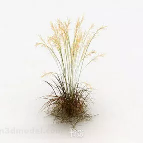 Yellow Outdoor Plant 3d model