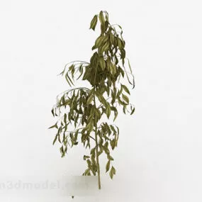 Yellow Oval Leaf Sapling 3d model