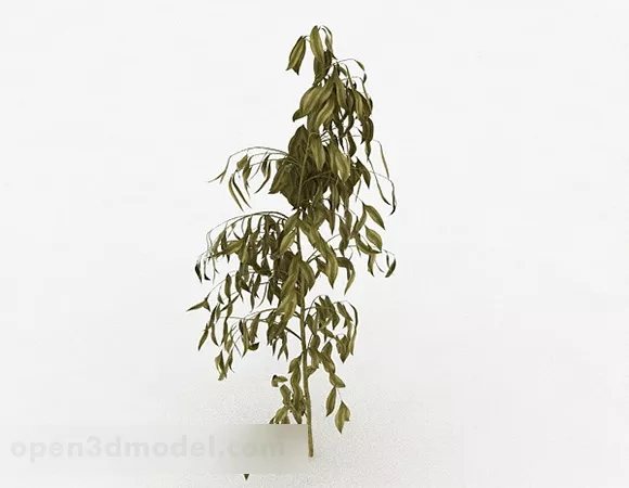Yellow Oval Leaf Sapling 3d model Yellow Oval Leaf Sapling 3d model