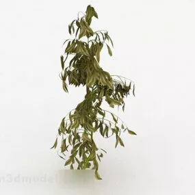 Yellow Oval Leaf Shrub 3d model