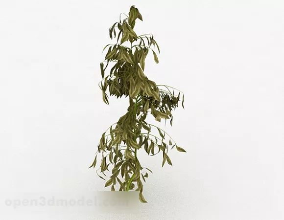 Monrovia Shrub Plant 3d model