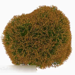 Hedge Yellow Plant 3d model