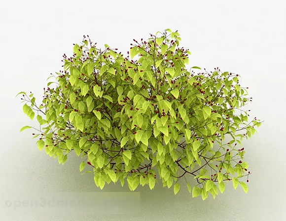 Yellow Leaf Ornamental Plant 3d model Yellow Leaf Ornamental Plant 3d model