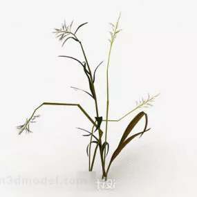 Yellow Weed Plant 3d model
