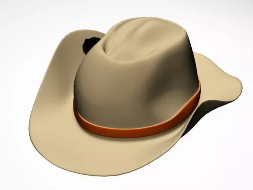 Big Hat 3d model