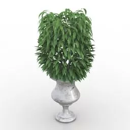 Indoor Vase Flower 3d model