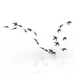 Flock Bird 3d model