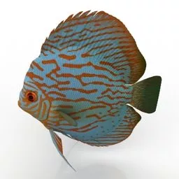 Scifi Bot With Aquarium Center 3d model