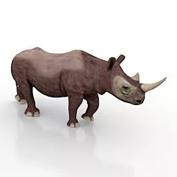 Rhino African Animal 3d model