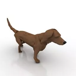 Asian Yellow Dog 3d model