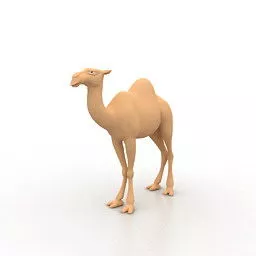 Arabic Camel 3d model