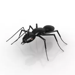 Red Ant Insect 3d model