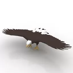 American Eagle 3d model