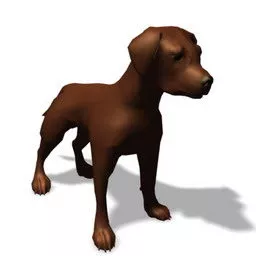 Lowpoly Cardigan Welsh Corgi 3d model