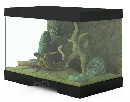 Rectangle Aquarium 3d model