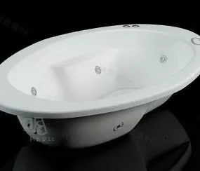 Oval Luxury Bath 3d model