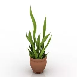 Indoor Plant House 3d model