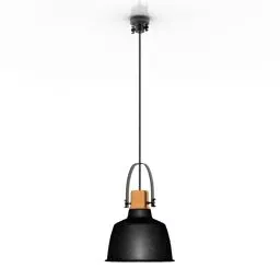 Luster Industrial Pendant Light 3d model