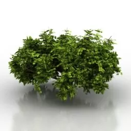 Garden Bush Trees For Interior 3d model