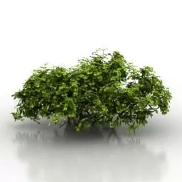Bush Tree Garden Decor 3d model