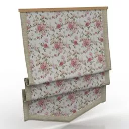 Vintage Pattern Flat Curtain 3d model