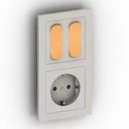 Two Switch One Socket 3d model