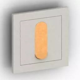 Switch Fontini Brass Frame 3d model