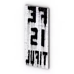 Wall Picture Banksy Artist 3d model