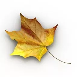 Yellow Maple Autumn Leaves 3d model