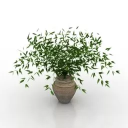 Plant Vase Flower 3d model