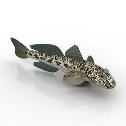 Sea Bass Fish Rigged 3d model
