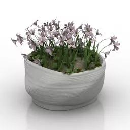 Vase Flowers For Garden 3d model