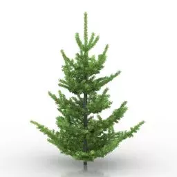 Tree Abies Pardei 3d model