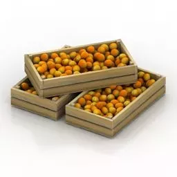 Apricots Fruit Basket 3d model