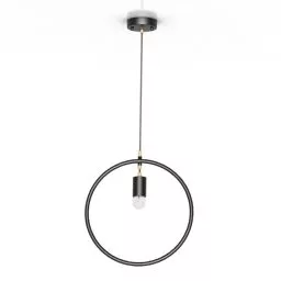 Luster Circle Shaped Lighting 3d model