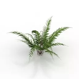 Fern Blechnum Bush Garden Plant V1 3d model