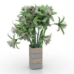 Potted Vase Plant 3d model