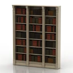 Wall Bookcase Library 3d model