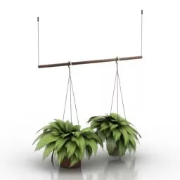 Vase Fern On Hanger 3d model