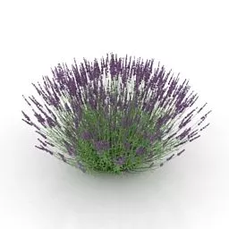 Realistic Leaf Plant Vase Pot Decorative 3d model