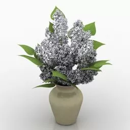 Porcelain Vase White Flowers 3d model