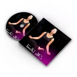 Cd With Label 3d model