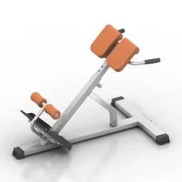 Sport Gym Hyperextension 3d model