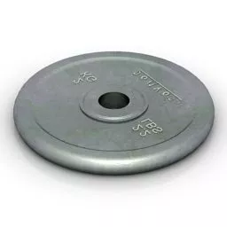 Golden Regnat Coin 3d model