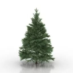Conifers Pine Tree 3d model