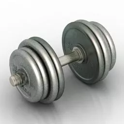 Gym Steel Dumbbell 3d model