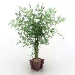 Indoor Small Pot Plant Set 3d model