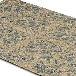 Old Carpet Living Room 3d model